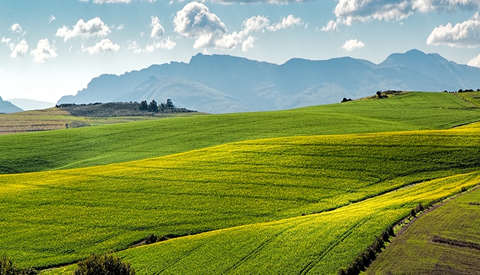 La compensation agricole 