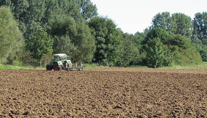 Actions des coopératives agricoles sur le foncier 