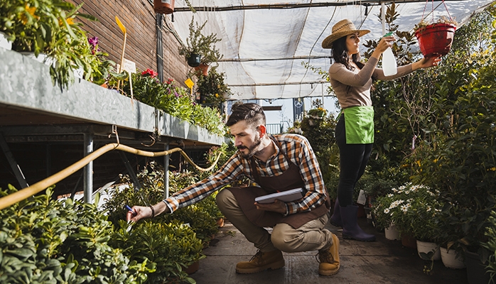 Etude de l'INSSE sur les prix des produits agricoles en avril 2020